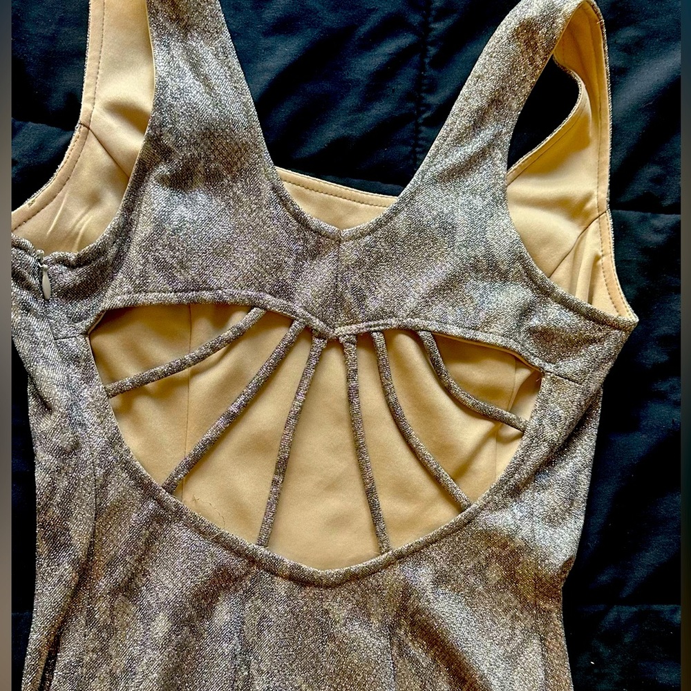 Joseph Ribkoff Metallic Silver and Beige Dress